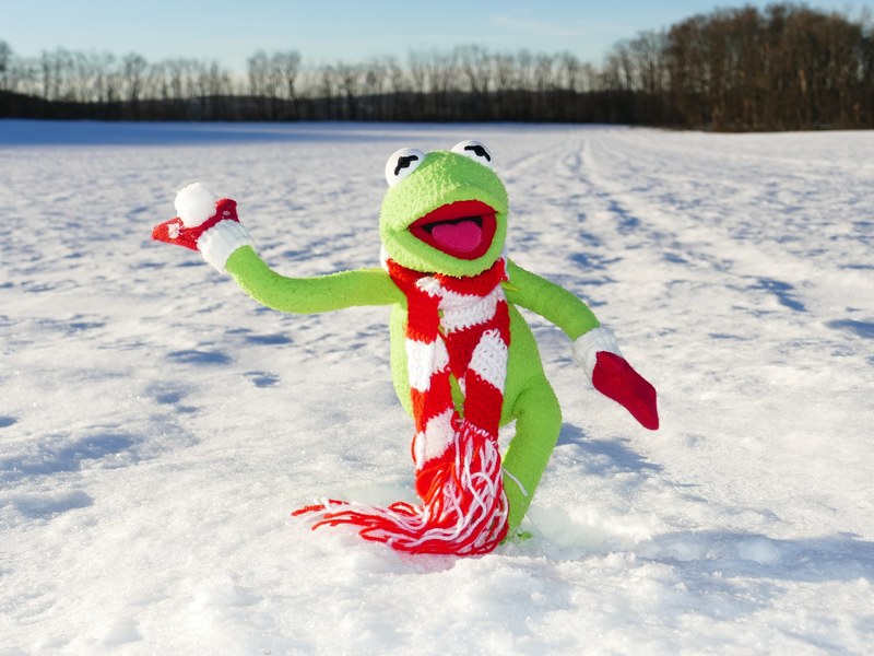 kermit frog snow ball throw snow winter cold fun 4k