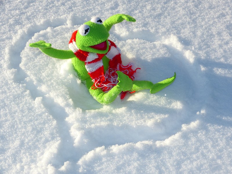 kermit frog fun snow winter cold 4k