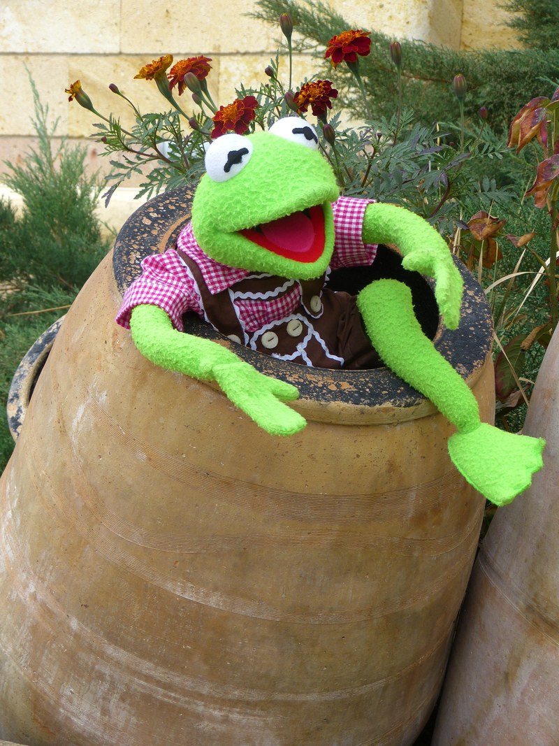 kermit frog green barrel ton clay pot joy fun 4k