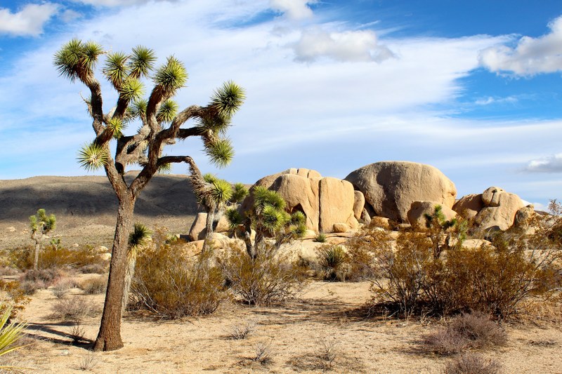 joshua tree national park mojave desert rocks 4k