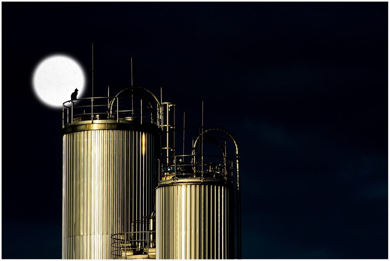 industry tank night moon cat silhouette moonlight 4k