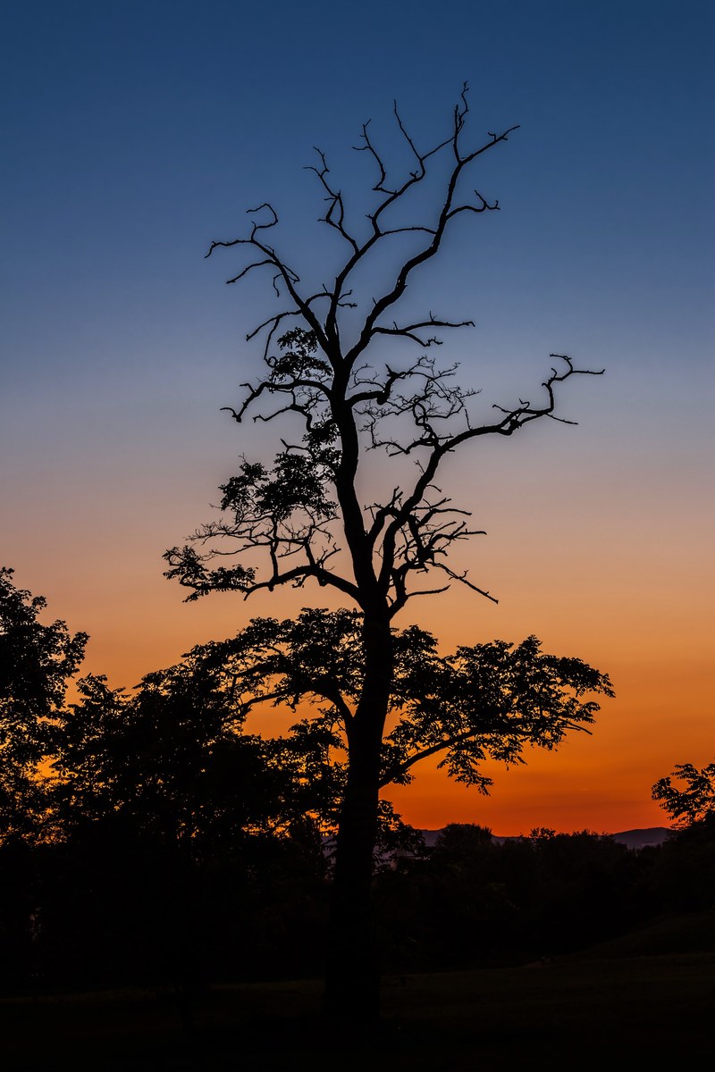 in the evening sunset light dusk mood nightfall 4k