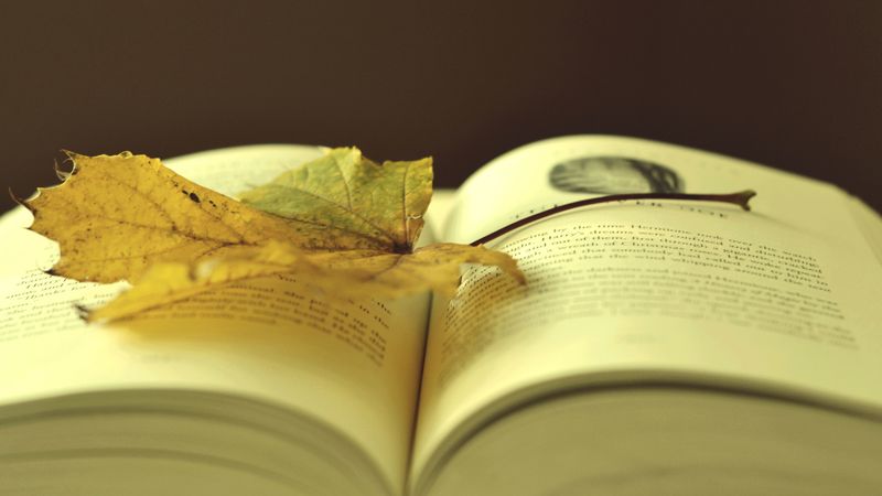 book, leaf, autumn, laying, 4k