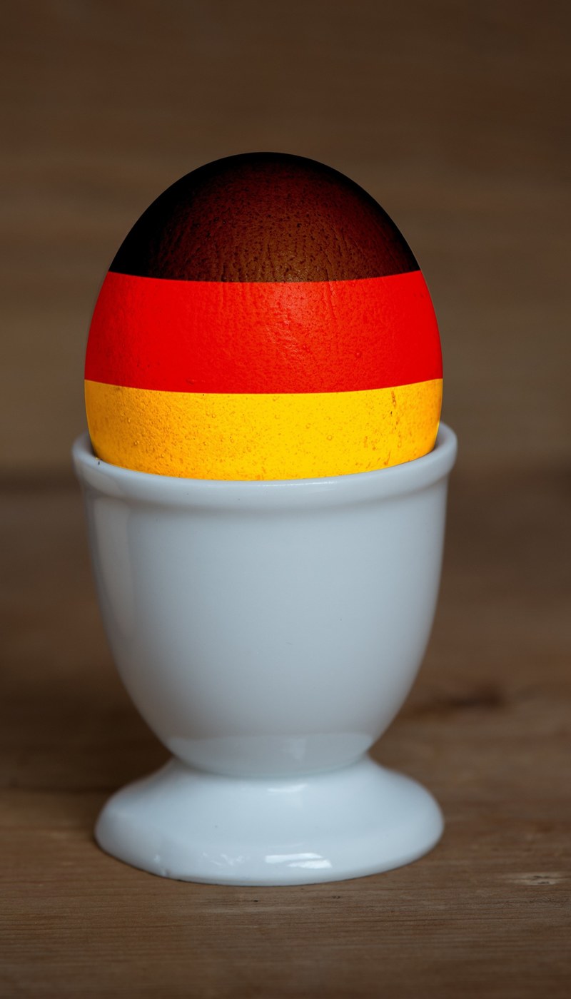 iman egg germany em photoshop chicken eggs 4k