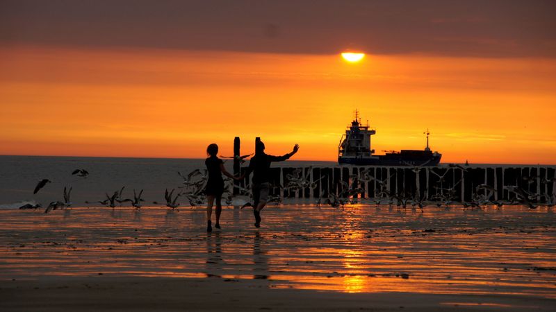 beach, promenade, bridge, sea, sunset, waves, children, birds, 4k