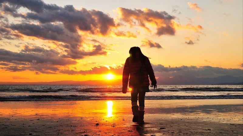 sea, beach, light, sunset, people, walk, alone, 4k
