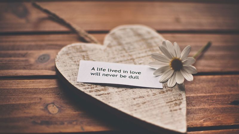 feelings, love, romance, life, recognition, speech, daisy, heart, 4k