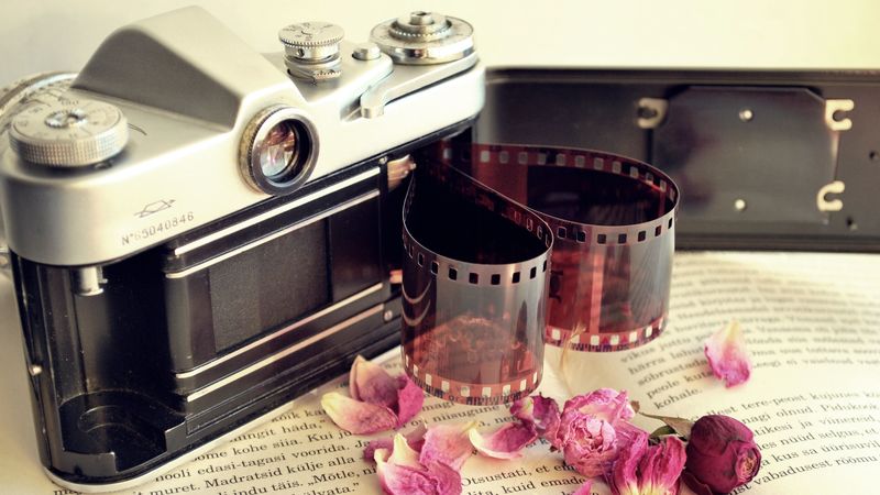 camera, film, books, flowers, dry, petals, 4k