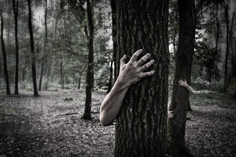 hands trunk creepy zombies forest horror scary 4k