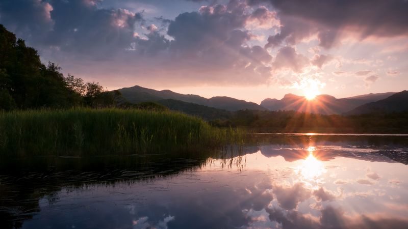 canes, lake, sun, 4k