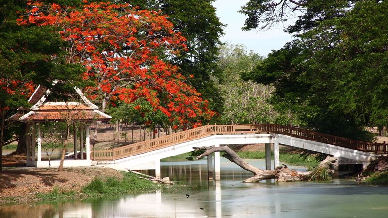 bridge, arbor, japan, snag, 4k
