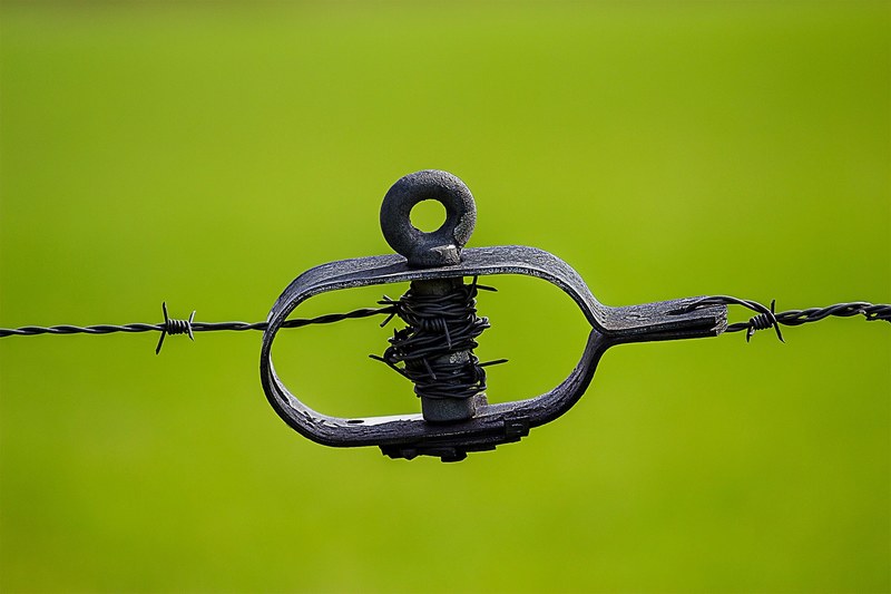 green tiefenschärfe focus barbed wire close wiring 4k