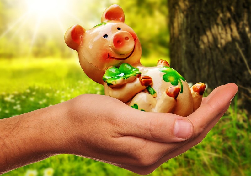 good luck handful happiness piglet lucky pig 4k