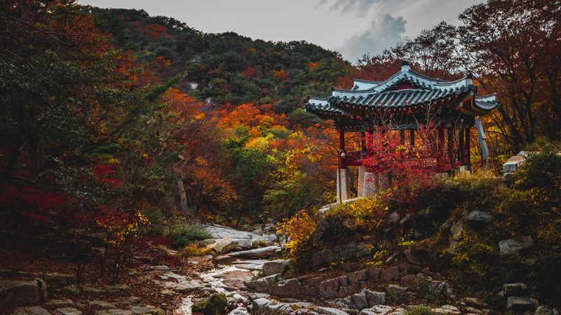 pagoda, garden, trees, autumn, 4k