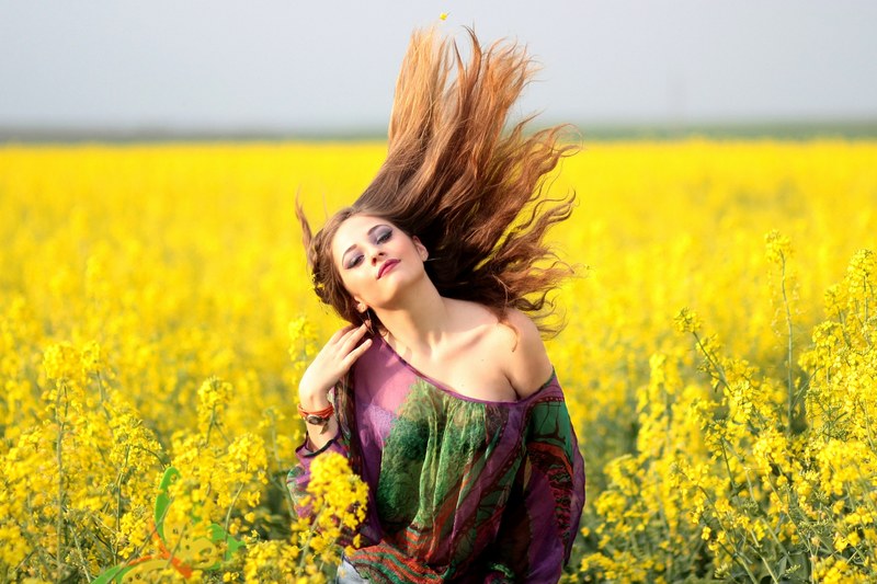girl camp flowers yellow beauty nature 4k