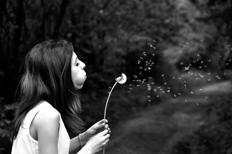 girl dandelion wish summer 4k