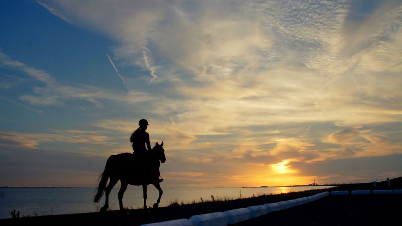 horseback rider, girl, silhouette, horse, lake, borders, 4k