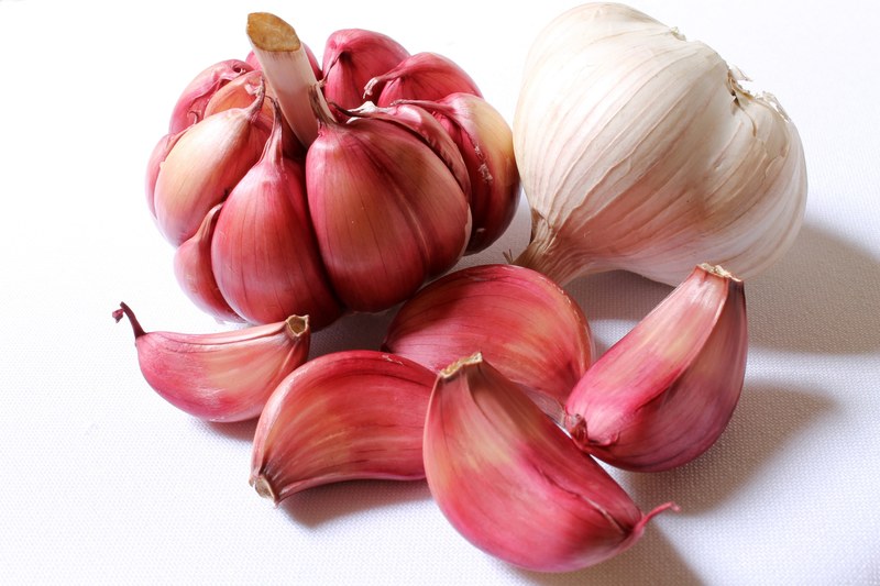 garlic purple garlic head of garlic clove of garlic 4k