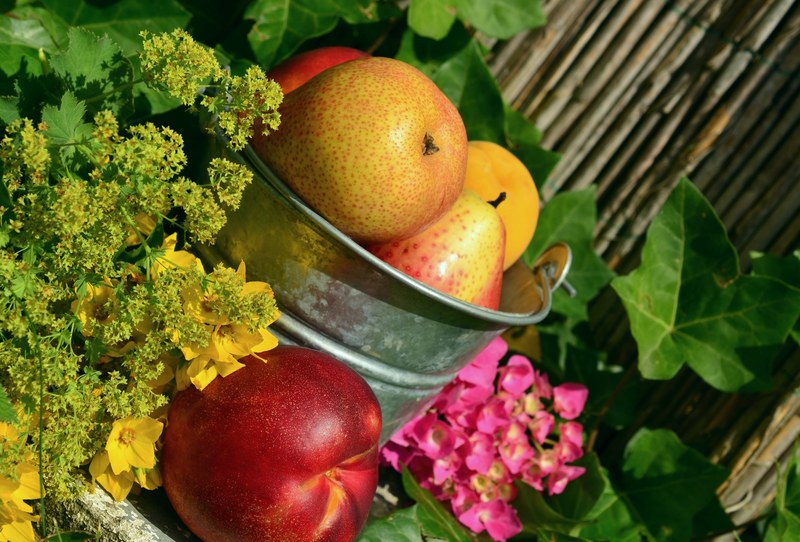 fruits garden fruit harvest still life colorful 4k