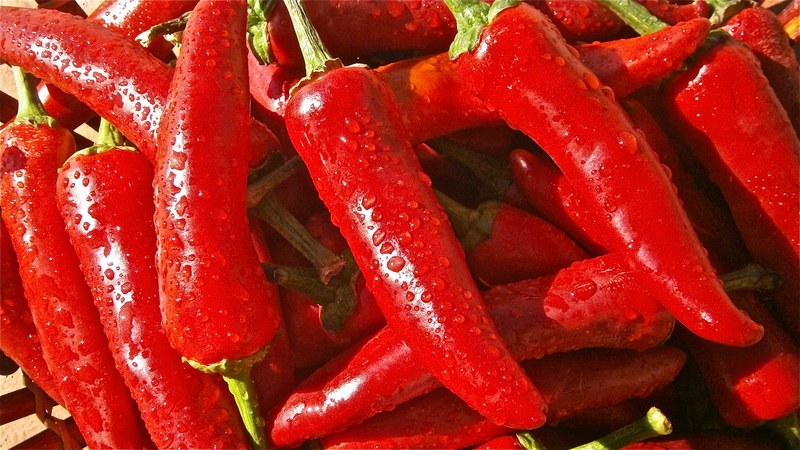 fruit pepper vegetable vegetables nature 4k