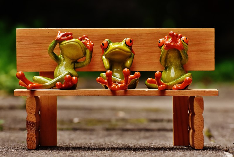 frogs not see not hear do not speak funny cute 4k
