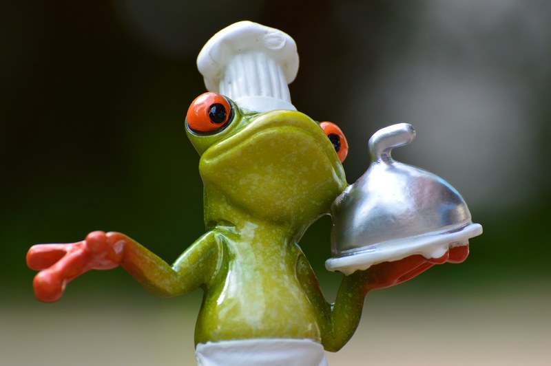 frog cooking eat kitchen gourmet food preparation 4k