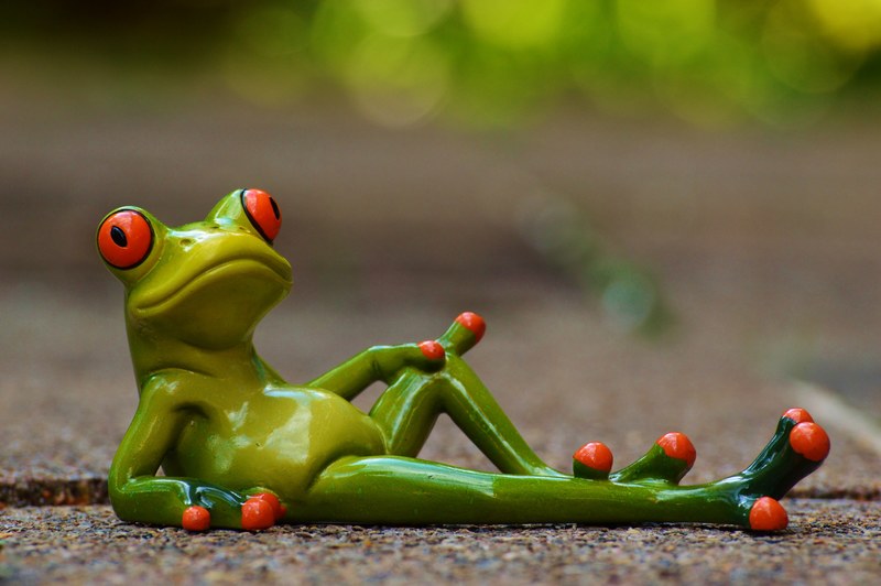 frog lying relaxed cute rest figure funny 4k