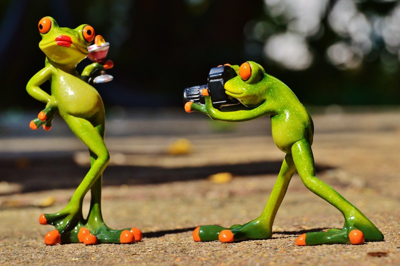 frog photographer model photo model lady posing 4k