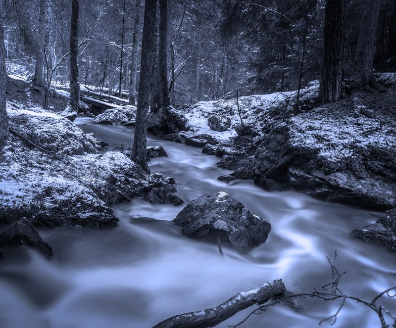 forest brook winter swedish nature creek hdr 4k