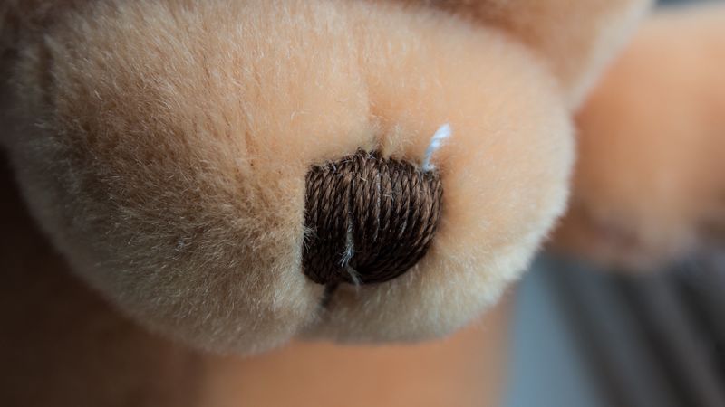 teddy bear, nose, muzzle, material, 4k