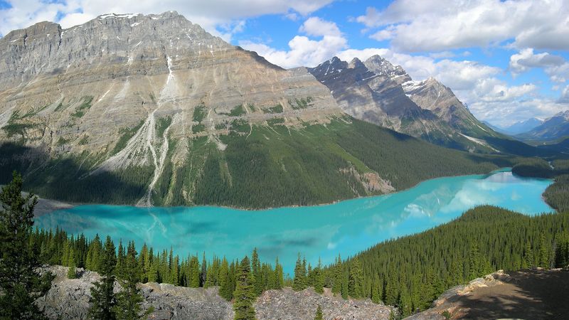 mountains, lake, blue water, wood, coniferous, purity, bottom, 4k