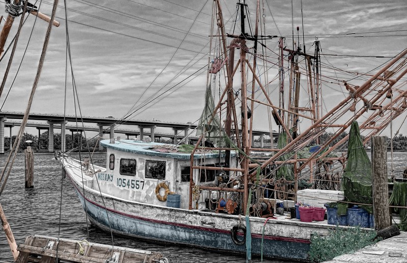 fishing boat boat dogger harbor ship fishing 4k