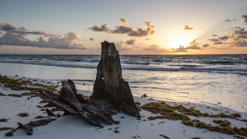 beach, horizon, sea, waves, 4k