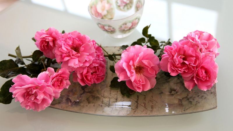 roses, flowers, bowl, tray, 4k