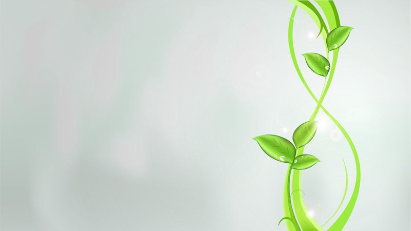 plants, green, abstract, leaves, patterns, bright, glare, 4k
