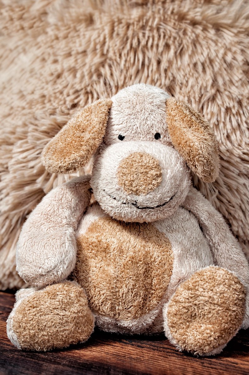 fabric dog stuffed animal cute brown toys close 4k