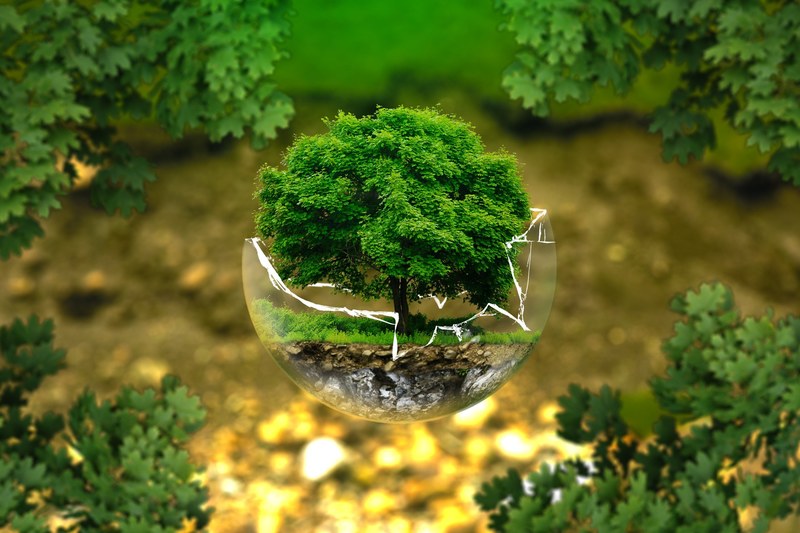 environmental protection nature conservation ecology 4k