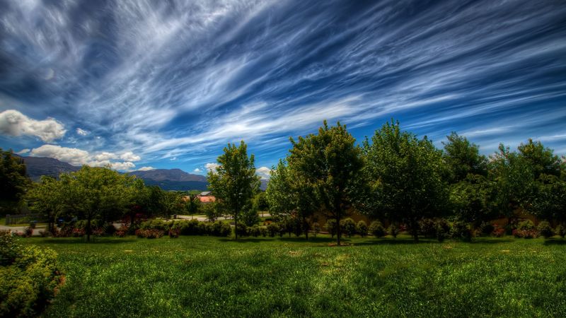 sky, lines, clouds, trees, grass, 4k