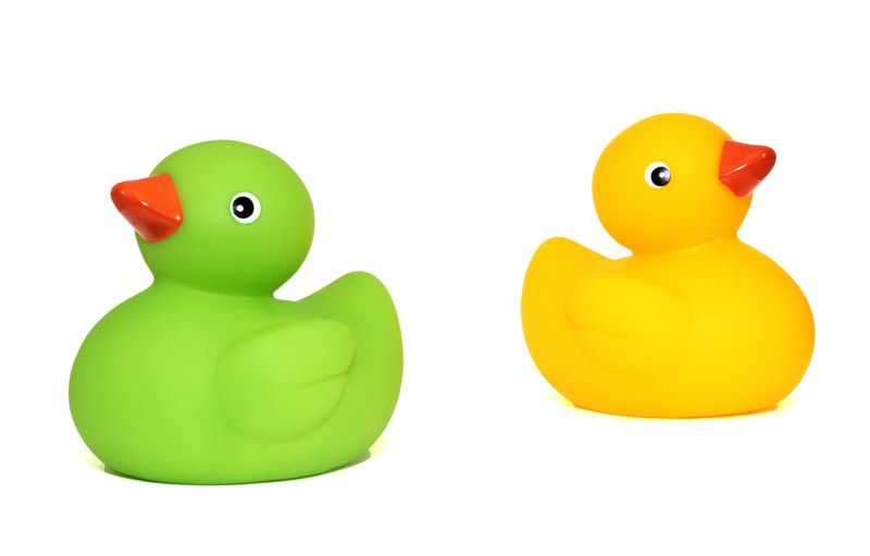 ducks toys duck baby child cute isolated 4k