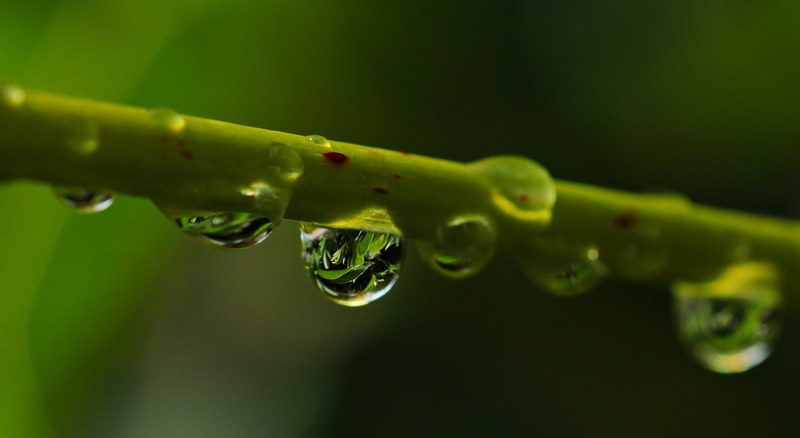 drop of water drip nature raindrop close mood 4k