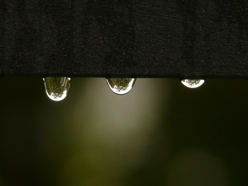 drip raindrop water wet surface tension rain 4k