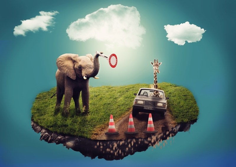 dream surreal composition elephant giraffe auto 4k