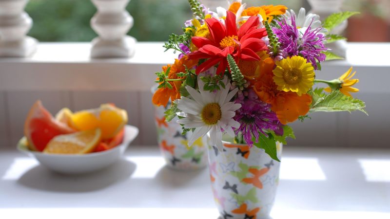 chamomile, flowers, lupine, flower, citrus, blurring, 4k