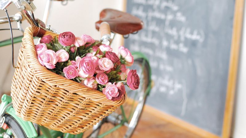 ranunkulyus, basket, flowers, bike, board, 4k