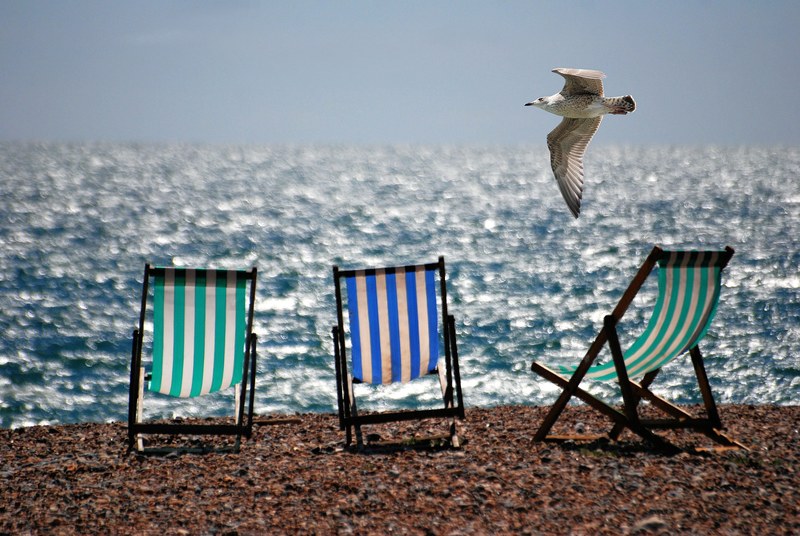 deckchairs sea beach seaside seagull summer 4k