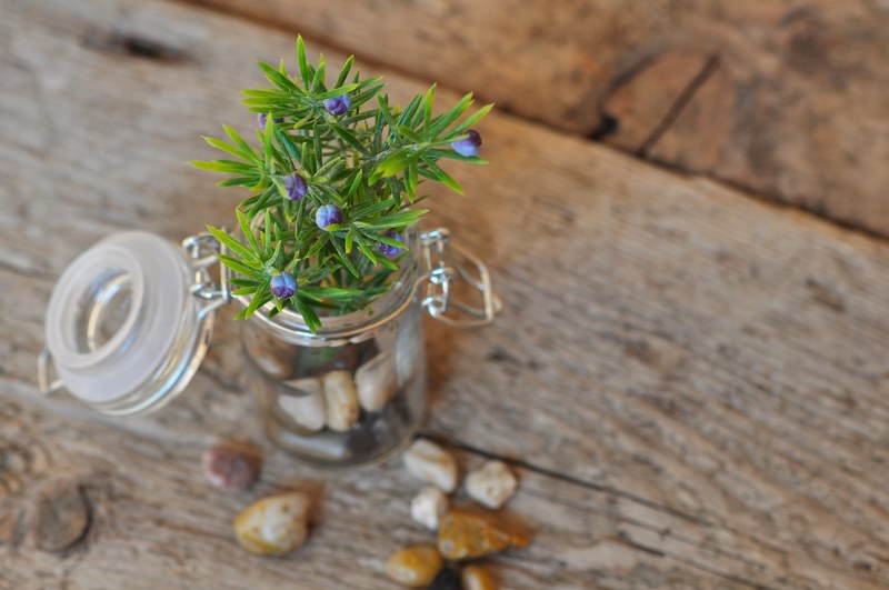 deco decoration decorative jar glass branch 4k