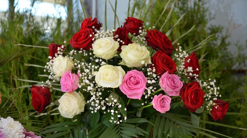 roses, flowers, bouquet, decoration, gypsophila, beauty, 4k