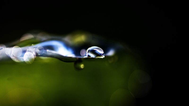 grass, leaf, drop, glare, circles, 4k