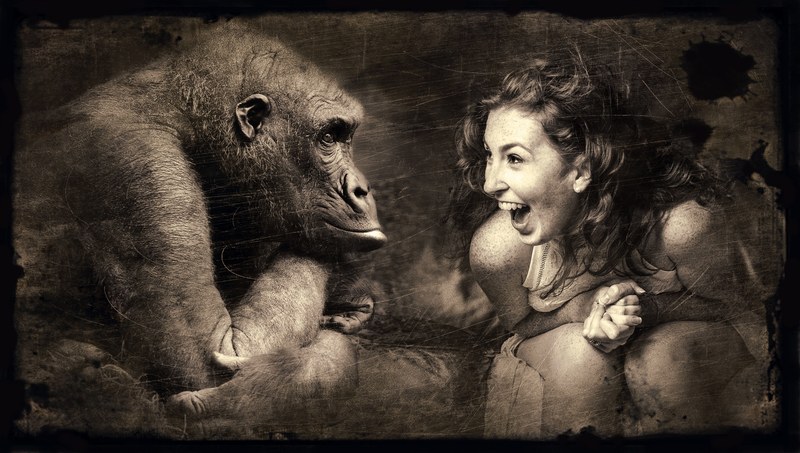 composing monkey woman laugh old photo sepia 4k