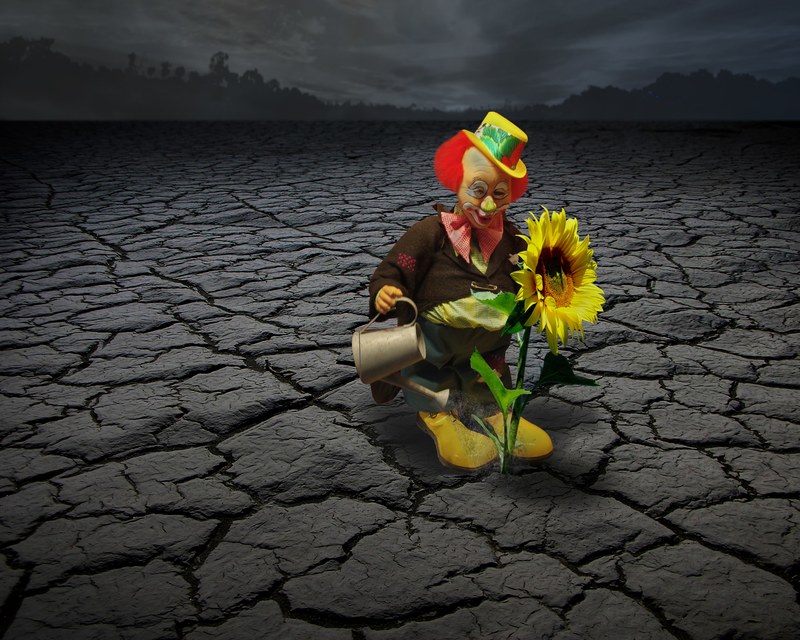clown circus face funny fun sun flower 4k